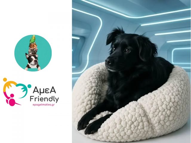 Pet Shop Zoorlomania Πέραμα