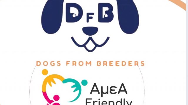 DOGS FROM BREEDERS-ΕΚΤΡΟΦΗ-ΕΚΠΑΙΔΕΥΣΗ-ΕΠΙΛΟΓΗ ΚΟΥΤΑΒΙΩΝ-ΑΥΛΩΝΑΣ ΑΤΤΙΚΗΣ-AμεA FRIENDLY ΕΚΠΤΩΣΗ 15%
